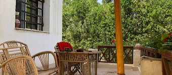 Touha House is the isolation getaway in faiyum