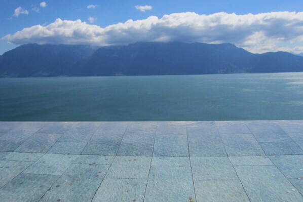 Pool - Family House in Montreux With Lake View (Montreux)
