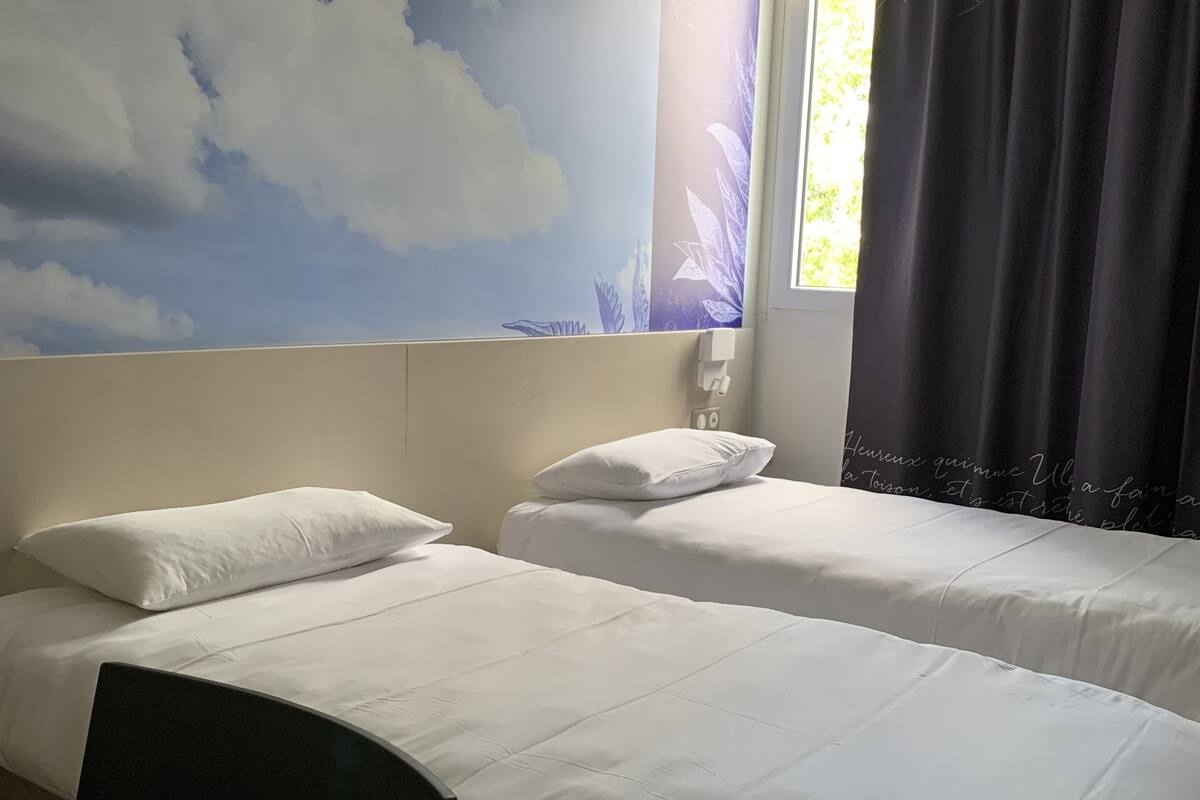 standard room, 2 single beds | memory-foam beds, desk, laptop workspace, blackout curtains