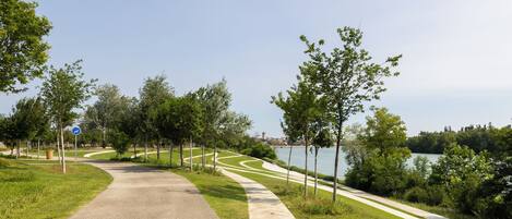 A paved pathway curving along a grassy area with trees and a body of water in the background.