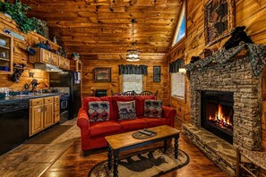 TV, fireplace, video games, DVD player