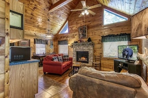 TV, fireplace, video games, DVD player