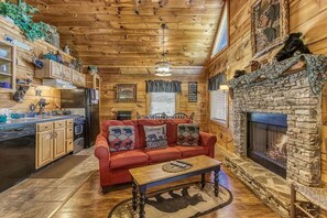 TV, fireplace, video games, DVD player