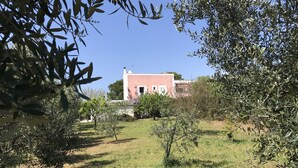 A building with a pink facade, surrounded by olive trees and a grassy area. - old farmhouse on the sea (Gaeta)