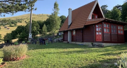 Brvnara ispod Äigote