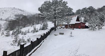 Brvnara ispod Čigote