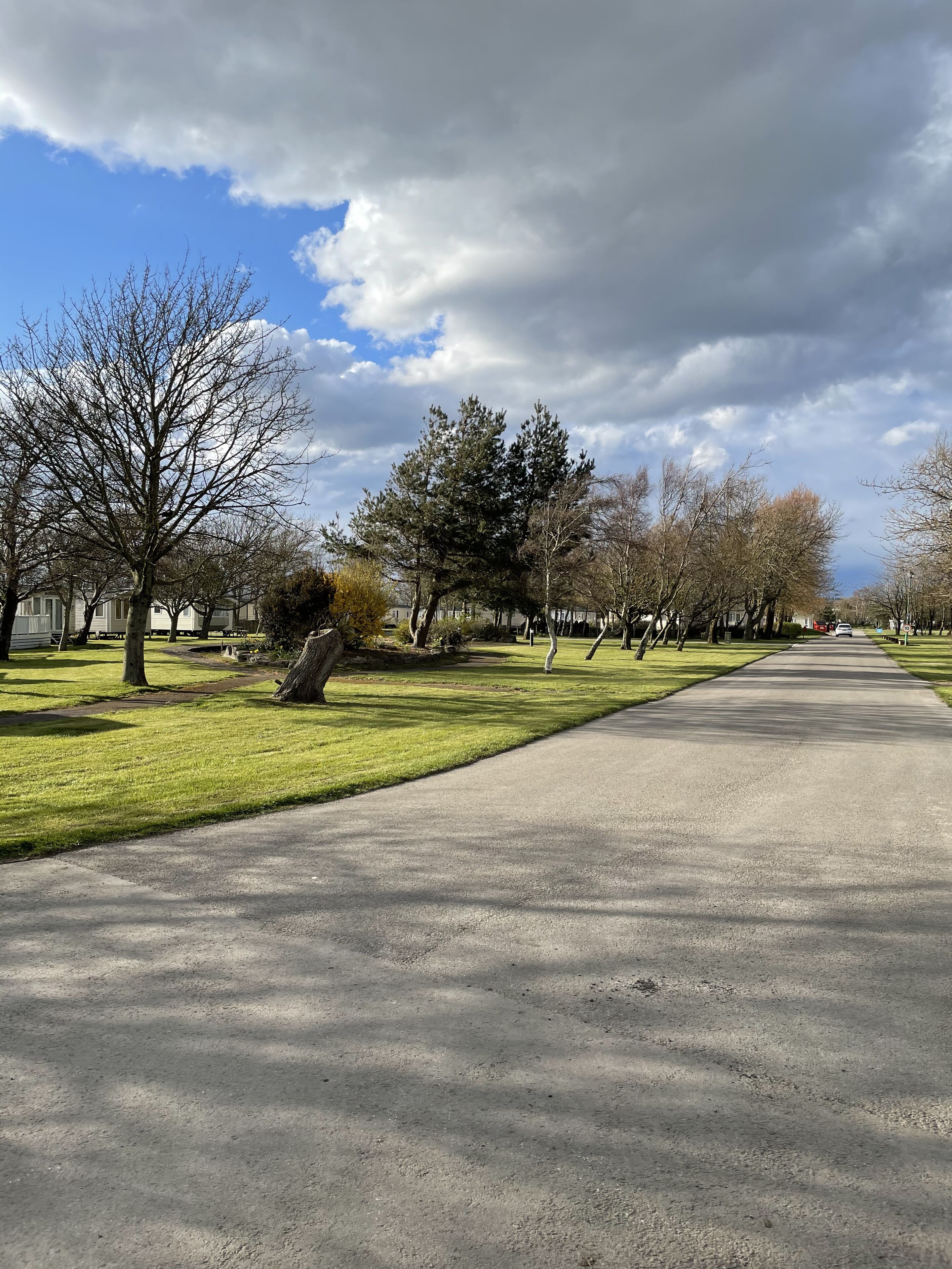 A paved pathway flanked by trees and grass, leading to a residential area with houses.