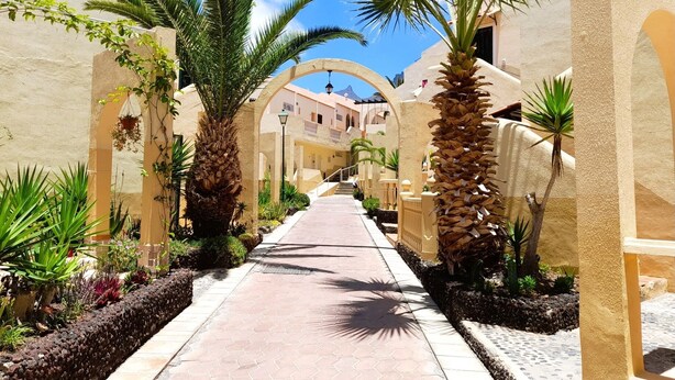 Un sentiero alberato da palme e piante che conduce a un edificio con archi e pavimento piastrellato.