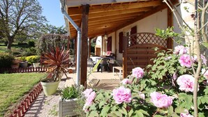 Un espace extérieur abrité, doté d’une pergola en bois, d’une table et de chaises, ainsi que d’un jardin agrémenté de plantes et de fleurs en pot.
