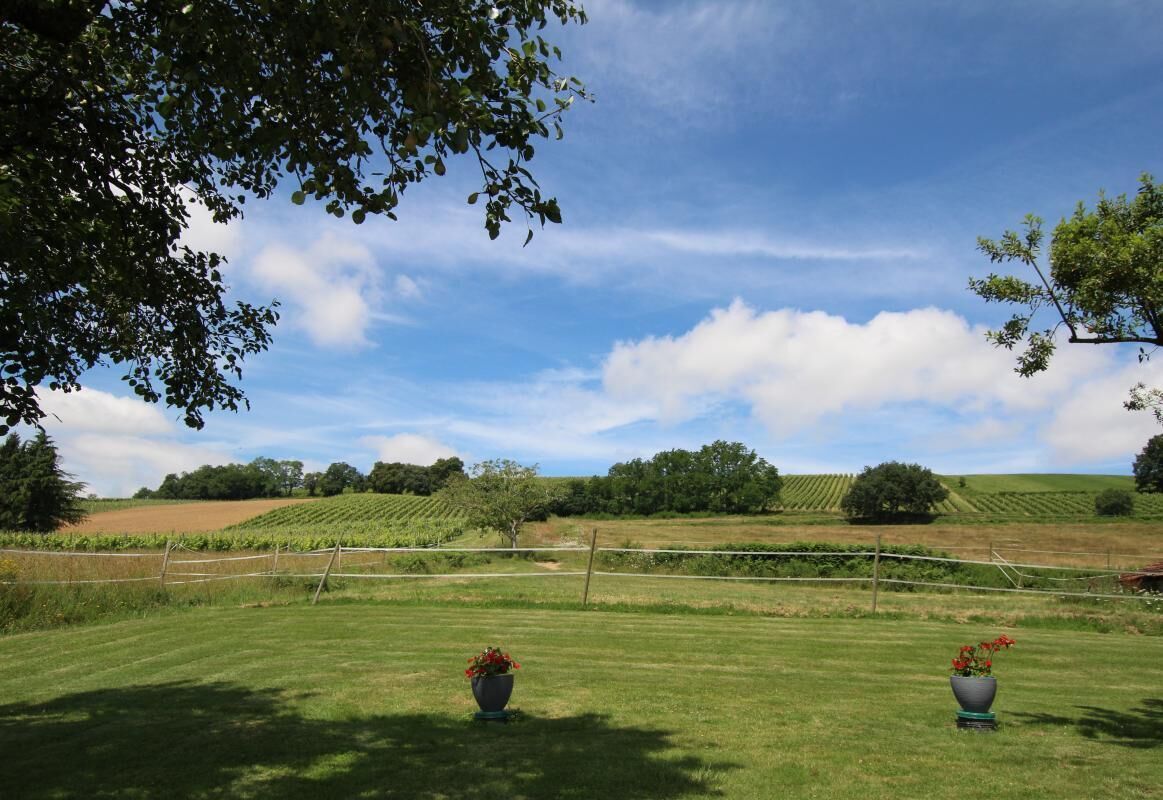 Un paisaje rural con cielo despejado, colinas ondulantes y dos macetas en primer plano.