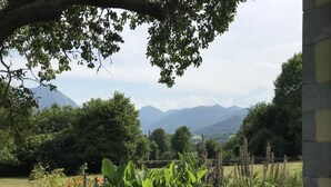A garden with a pathway, various plants, and a mountain view in the background.