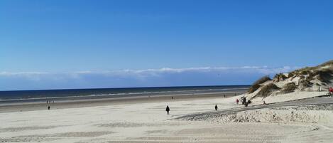 Playa en los alrededores