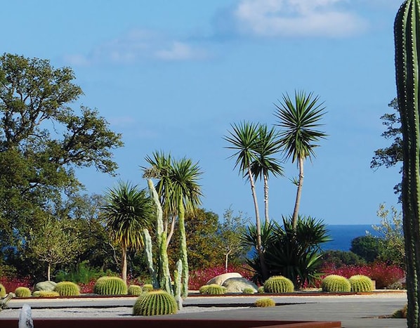 Jardines del alojamiento