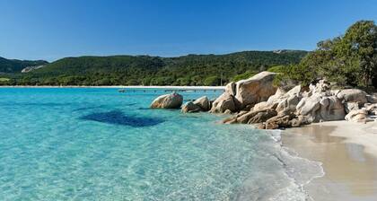 APARTMENT Les PIEDS DANS L'EAU - Sea view - 2 to 4 people