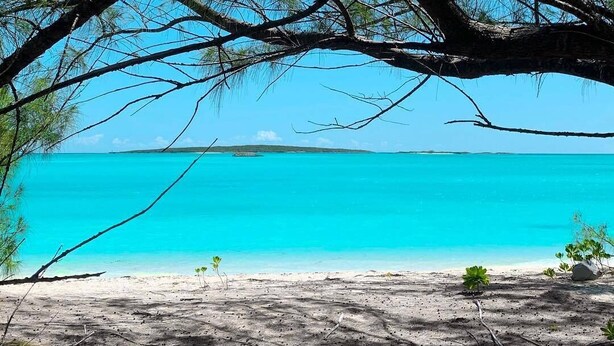 Een strand met helder turquoise water, omringd door dichte pijnbomen.