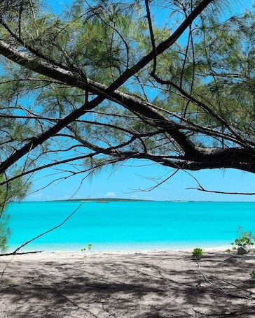 Beach. Exuma Point Villas -Swimming Pigs Resort- Green Lignam Vitae