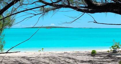 Exuma Point Villas -Swimming Pigs Resort- Green Lignam Vitae