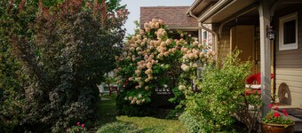 Elora Studio Apartment