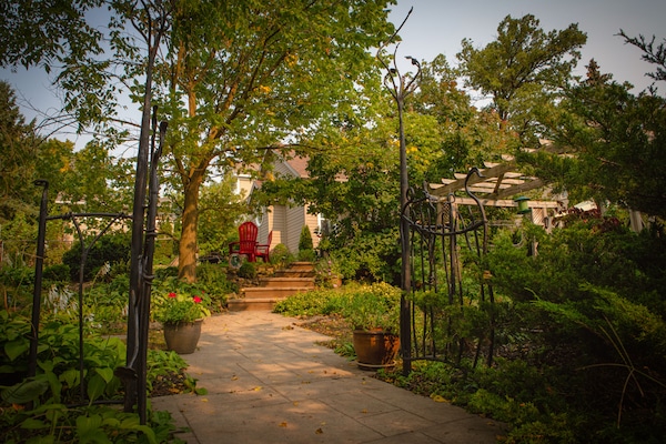 Garden path from Mill St East to the Studio