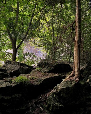 1 habitación, escritorio, wifi y ropa de cama 