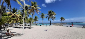 A beach with palm trees, a clear sky, and a calm sea. - "Le Vanille", Résidence Savannah Face à la Mer (Saint-François)