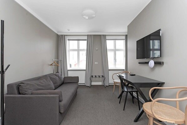 Flachbildfernseher, Arbeitsbereiche