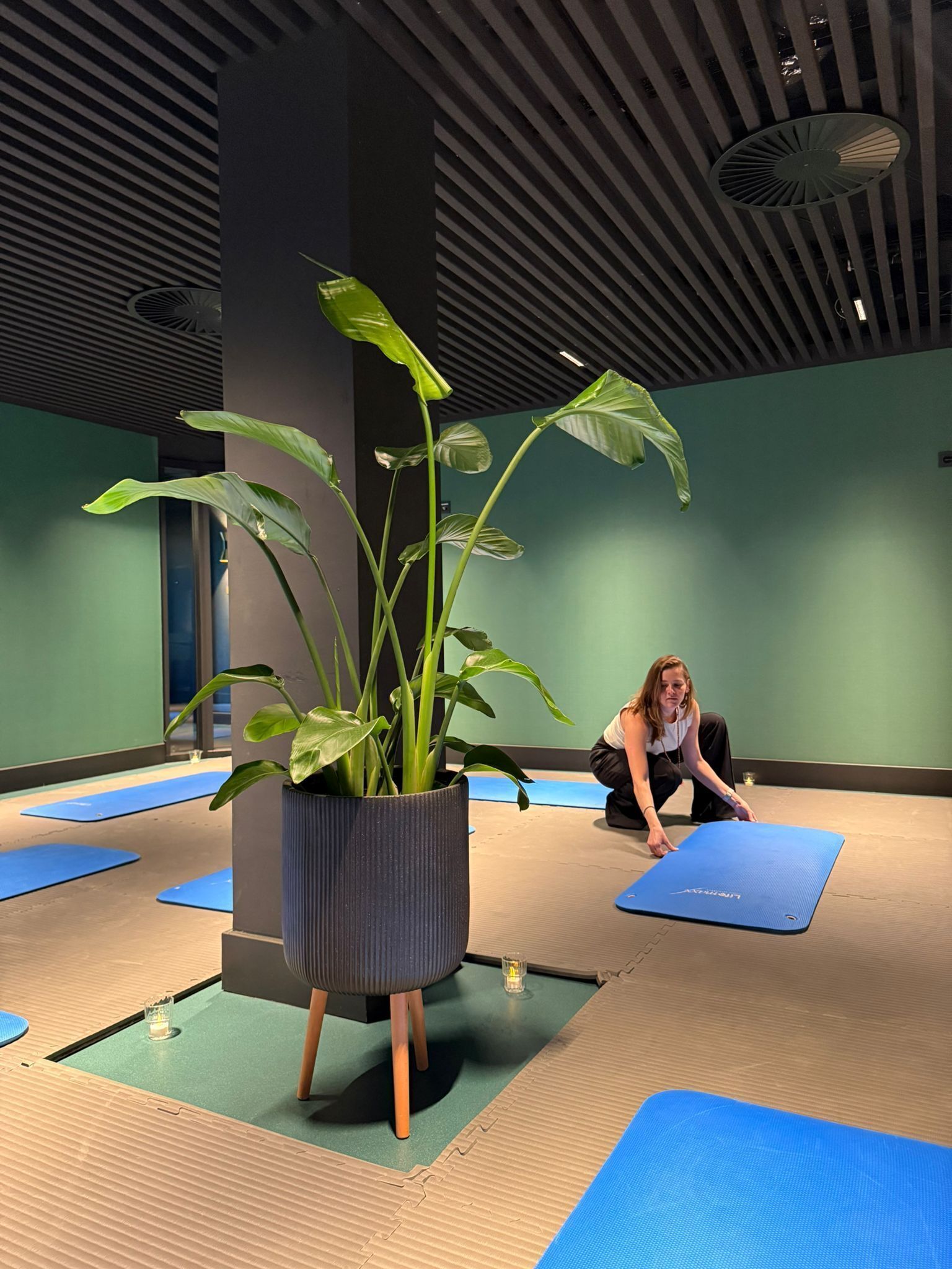 A yoga studio with a large potted plant, blue yoga mats, and a person practicing yoga.
