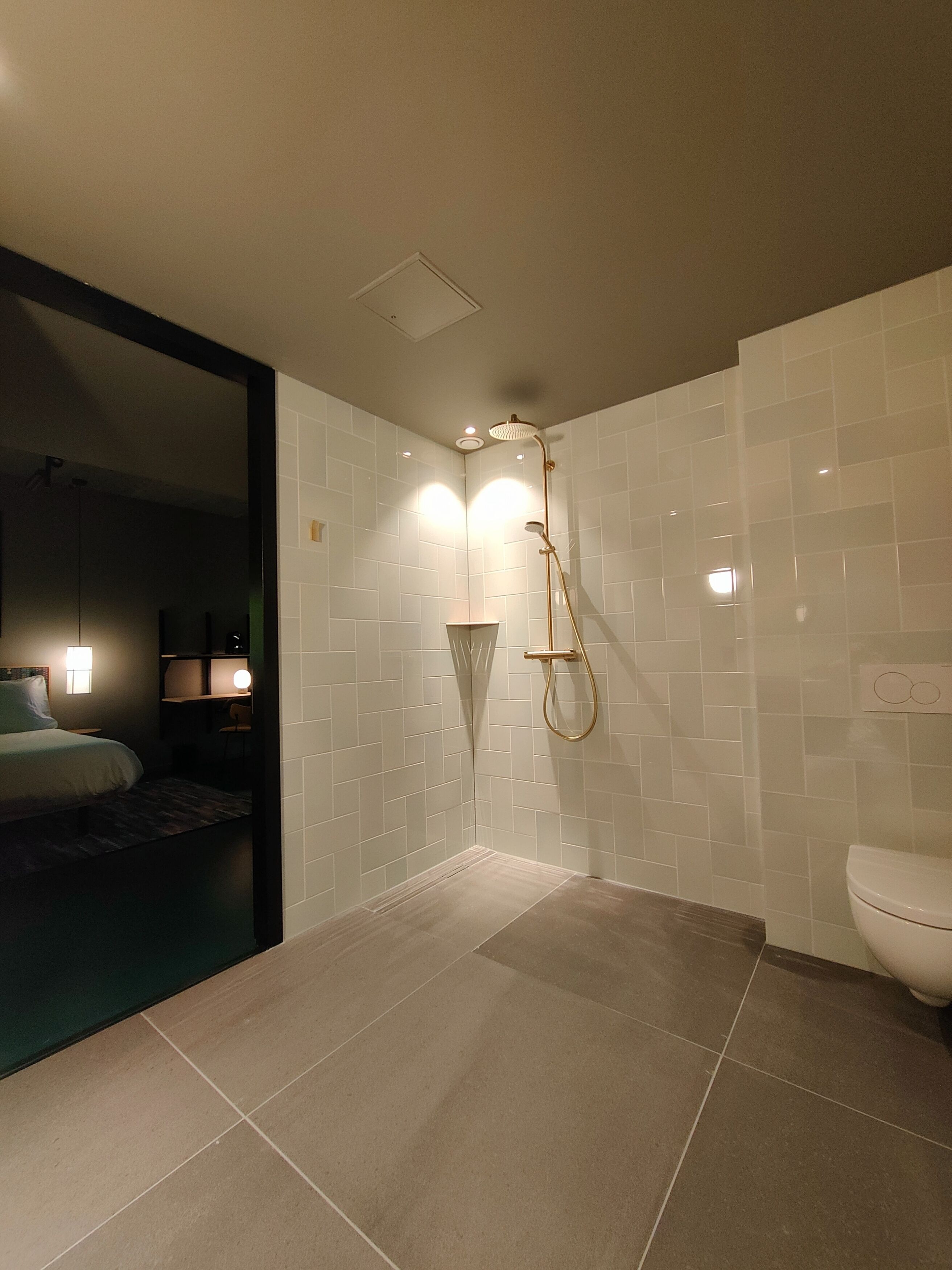 A modern bathroom with a shower, toilet, and a visible bed in the adjacent room.