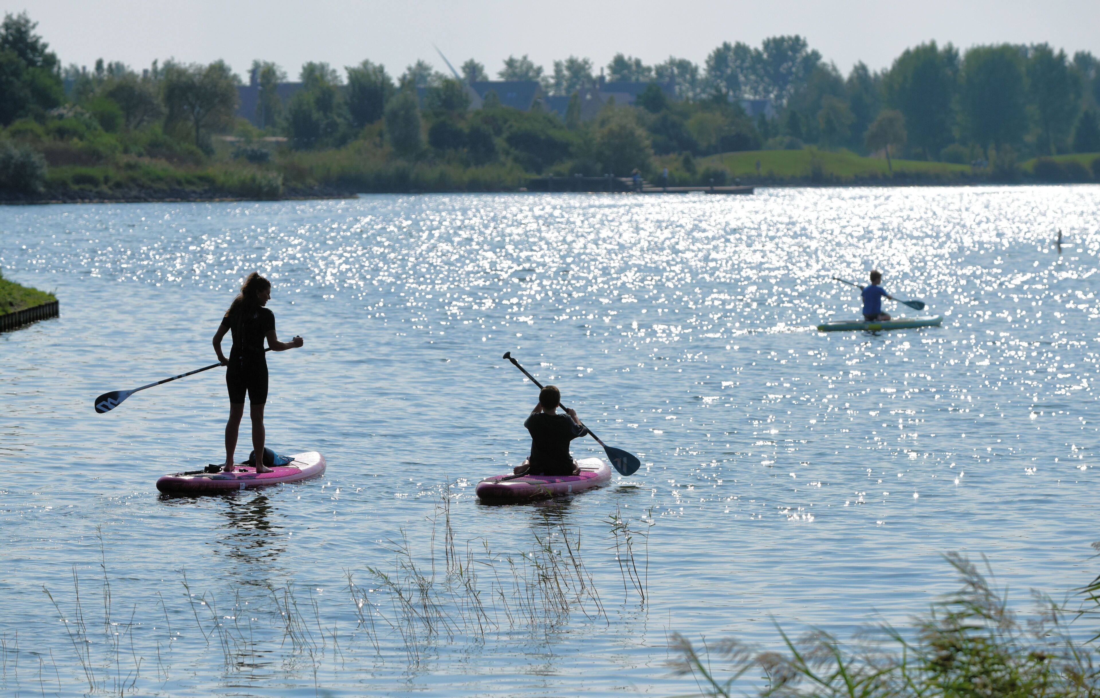 Dos personas en tablas de remo sobre aguas tranquilas, con una orilla arbolada al fondo.