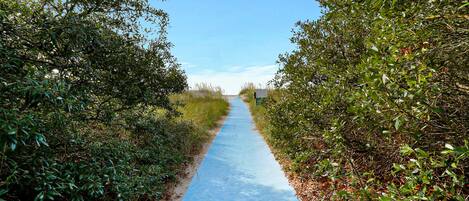 A pathway flanked by dense foliage leading to a distant structure.