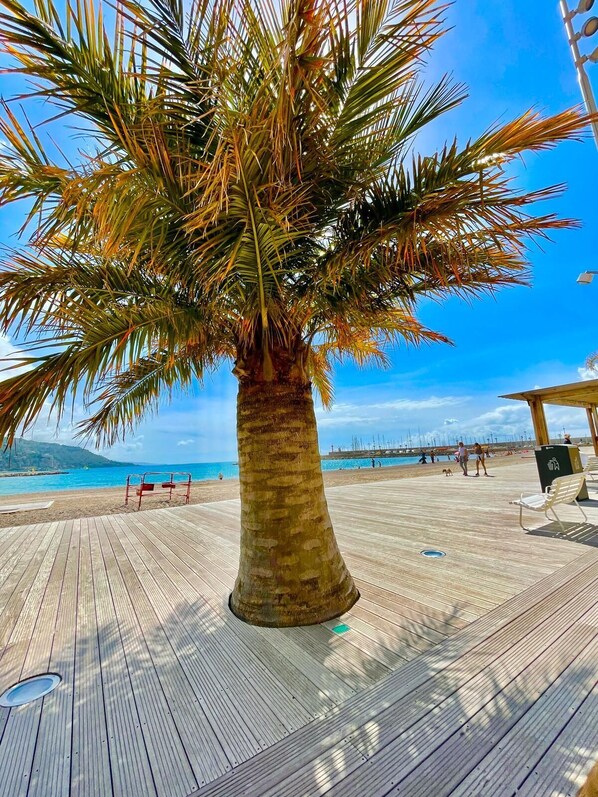 Vlak bij het strand, ligstoelen
