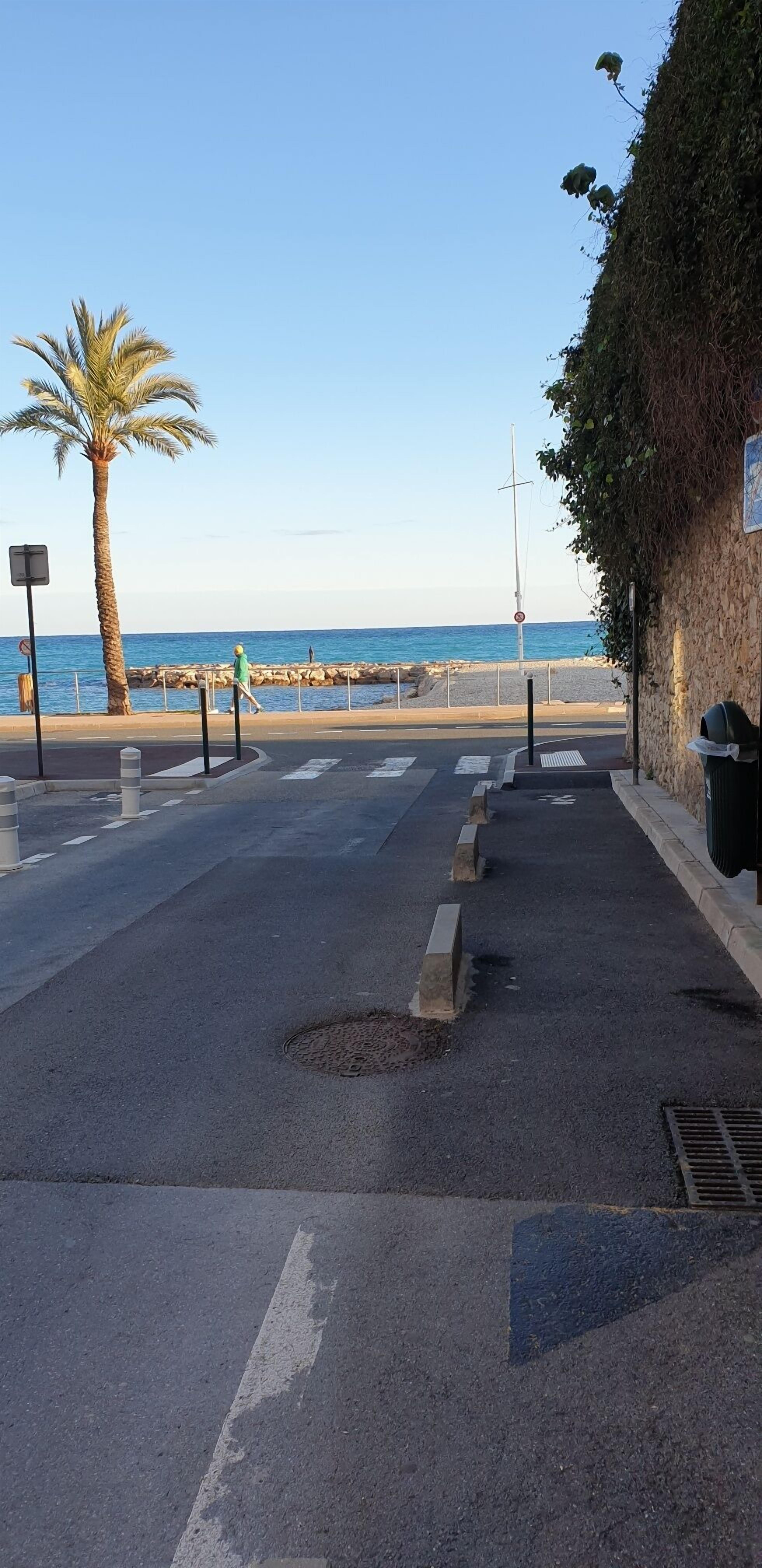 Uma rua costeira com uma palmeira, uma faixa de pedestres e vista para o mar.