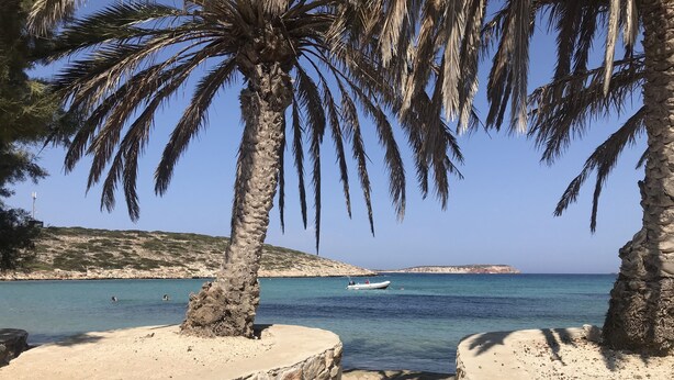 Une plage bordée de palmiers, avec une eau d’un bleu limpide et un bateau.
