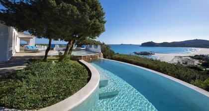 Luxury villa with private infinity pool on the beach