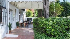 A courtyard with a covered seating area, potted plants, and a hedge.