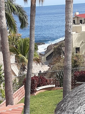 Property grounds - Private home OCEAN VIEW VILLA<br>pool, spa, 3 terraces.1 Minute walk to beach. (Cabo San Lucas)