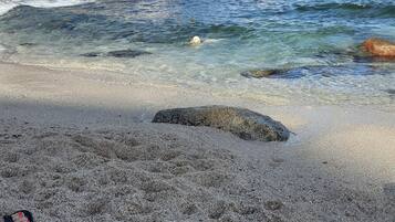 Vlak bij het strand, ligstoelen aan het strand, strandlakens