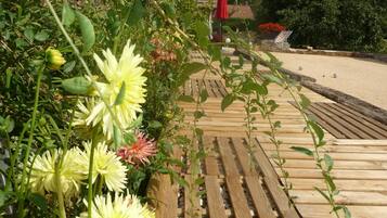 Jardines del alojamiento