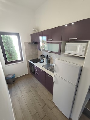 A compact kitchen with a built-in microwave, a sink, and a window with a view of greenery. - Apartment Emily, 4+1 (Sveti Juraj)