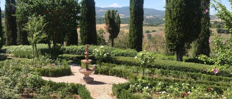 المنطقة المحيطة بالمنشأة