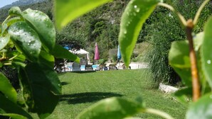 A pool area with lounge chairs and umbrellas, surrounded by greenery and hills in the background. - Studio (Bendejun)