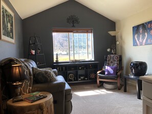 Smart TV, fireplace, DVD player, books