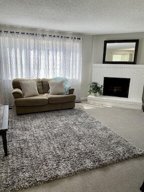 Smart TV, fireplace, books