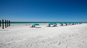 A beach with rows of beach chairs and umbrellas, a sandy shore, and the ocean in the background.