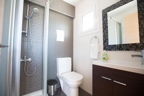 Bathroom features a shower, toilet, and vanity with a mirror.