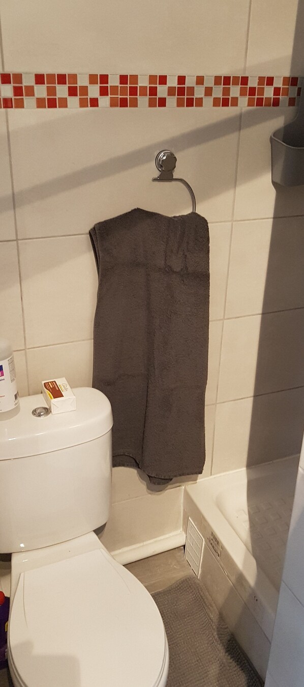 Shower, towels, toilet paper