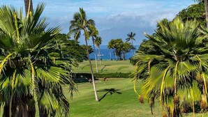 Campo de golf con palmeras y vista al océano.
