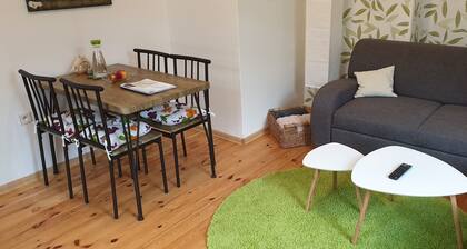 NelyÂŽs Apartment - spa City Centre