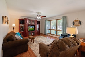 Smart TV, books, video library, stereo