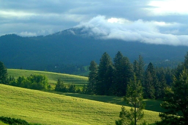 Springtime on the farm, from the front porch. Yup! Pretty beauteous!